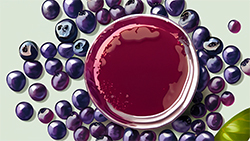 Acai berry juice concentrate manufacturers and suppliers with bulk packaging options in drums, barrels, pails and ibc containers in bins organic acai berry concentrate bx clear cloudy acidity ph values aseptic bag in drums or frozen in metal or plastic drums bulk supply