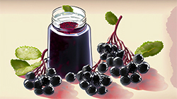 Aronia juice concentrate manufacturers and suppliers with bulk packaging options in drums, barrels, pails and ibc containers in bins organic aronia concentrate bx clear cloudy acidity ph values aseptic bag in drums or frozen in metal or plastic drums bulk supply