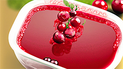 Hersteller und Lieferanten von Cranberry-Saftkonzentrat mit Großverpackungsoptionen in Fässern, Fässern, Eimern und IBC-Behältern in Behältern. Bio-Cranberry-Konzentrat BX, klar, trüb, Säure, pH-Werte, aseptisch, Beutel in Fässern oder gefroren in Metall- oder Kunststofffässern, Großlieferung