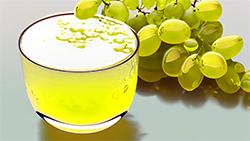 white grape juice concentrate manufacturers and suppliers with bulk packaging options in drums, barrels, pails and ibc containers in bins organic white grape concentrate bx clear cloudy acidity ph values aseptic bag in drums or frozen in metal or plastic drums bulk supply